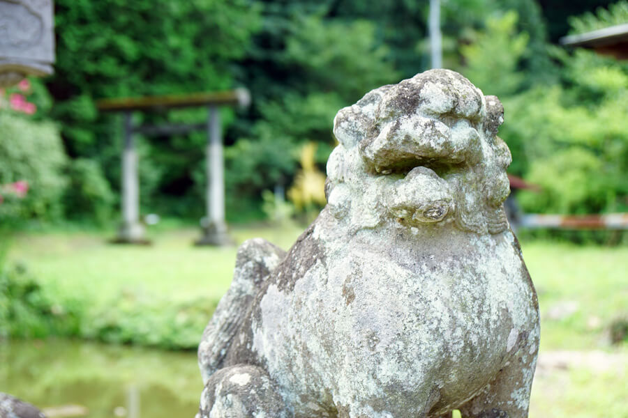 金蔵寺八耳堂の狛犬